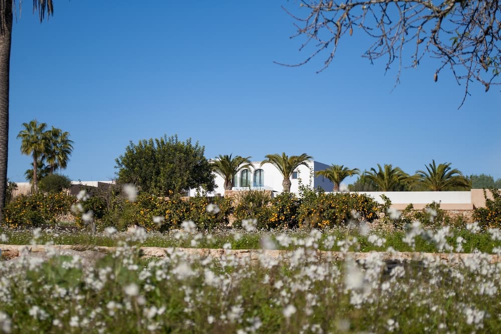 Safagell Ibiza Suites & Spa — 24