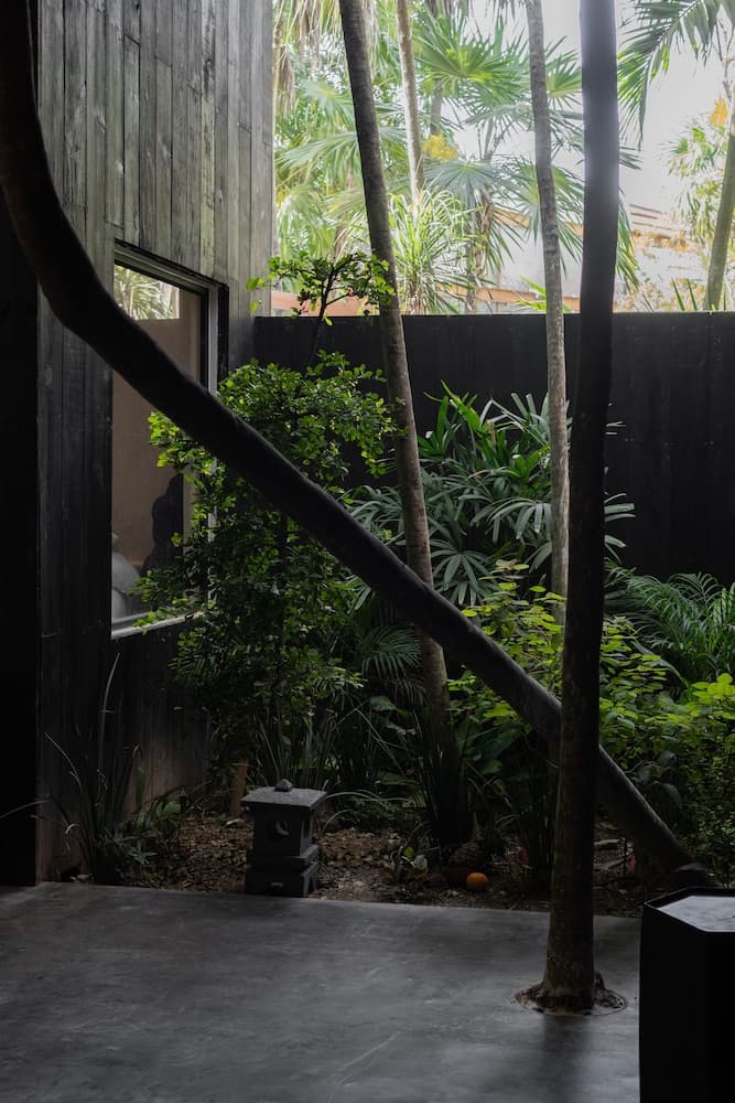 UMi Tulum — 4