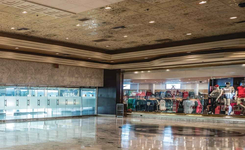 MGM Grand Hotel & Casino — 17