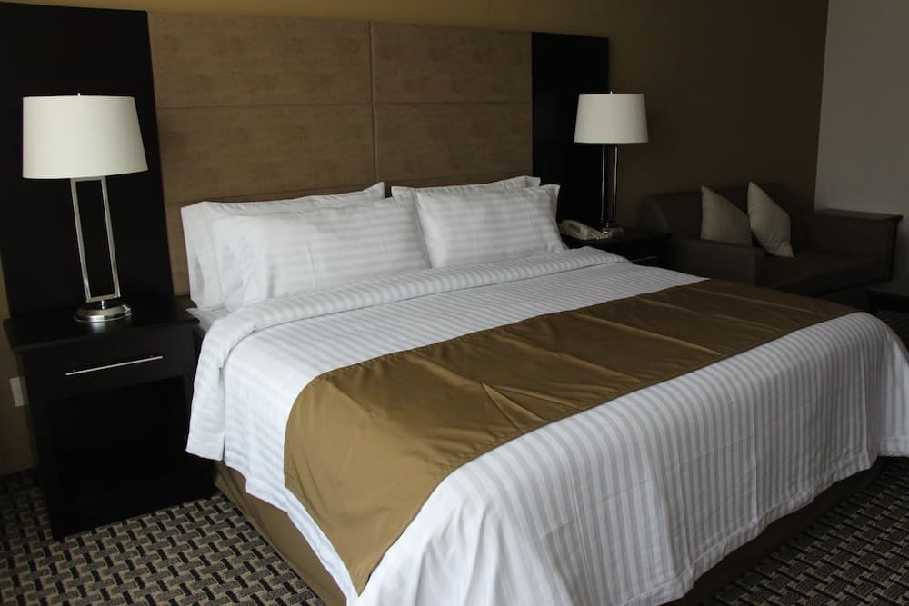 Holiday Inn México Santa Fe, un Hotel IHG — 15