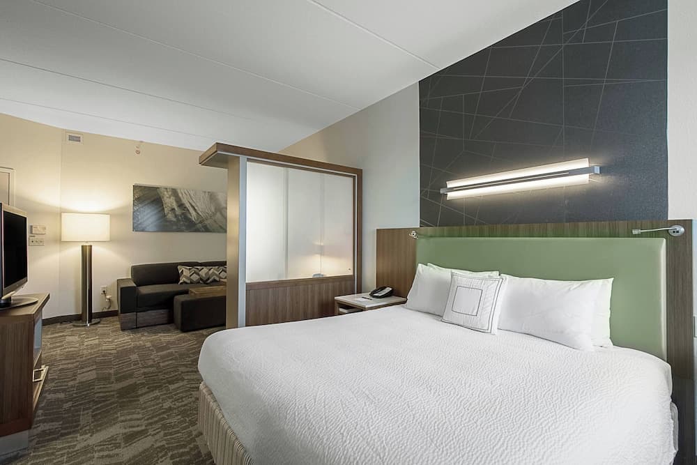 SpringHill Suites by Marriott Tampa North/I 75 Tampa Palms — 17