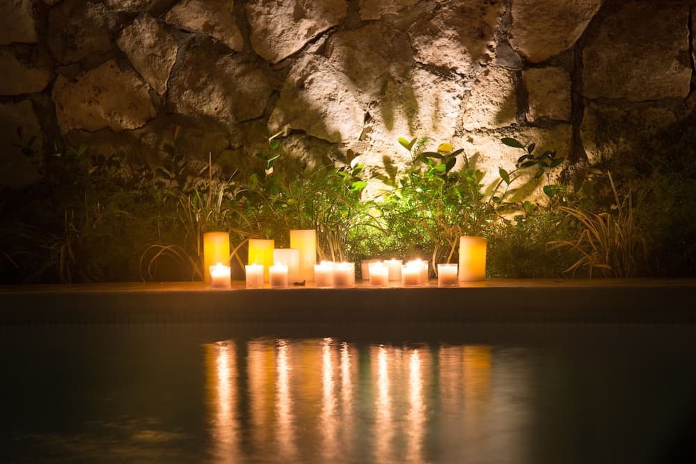 Livetulum — 16