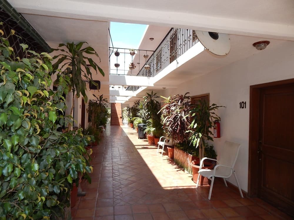 Cabo Cush Hotel — 11