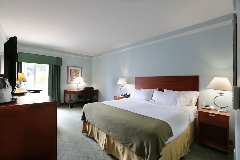 Holiday Inn Express Tampa N I-75 - Área universitaria, un hotel IHG — 3