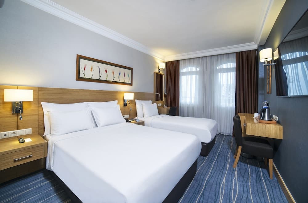 Radisson Hotel Istanbul Sultanahmet — 9