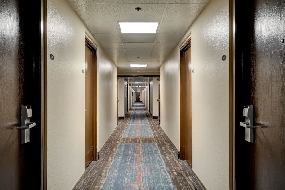Longhorn Casinò & Hotel — 24