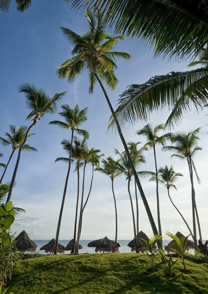 Melia Punta Cana Beach Wellness Inclusive - Adults only — 14