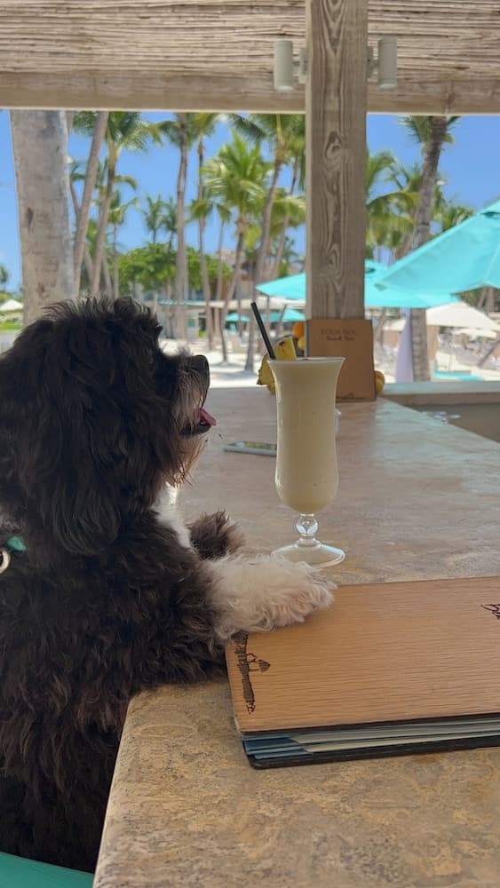 Eden Roc Cap Cana — 17
