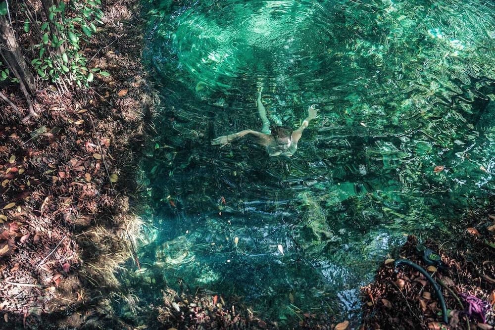 Hidden Treehouse Tulum EcoHotel — 24