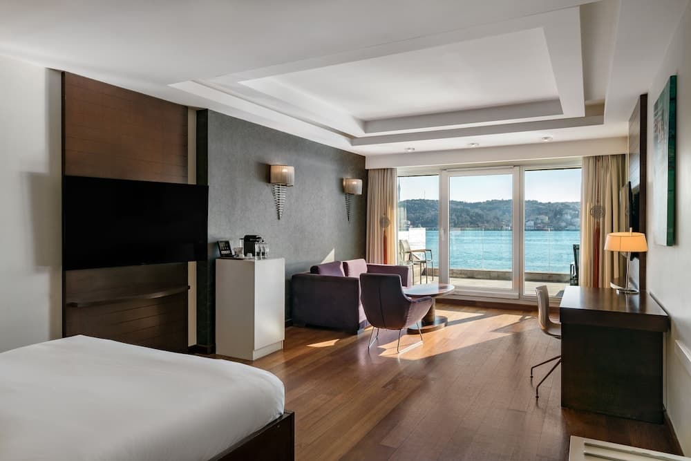 Radisson Blu Bosphorus Hotel, Istanbul — 29
