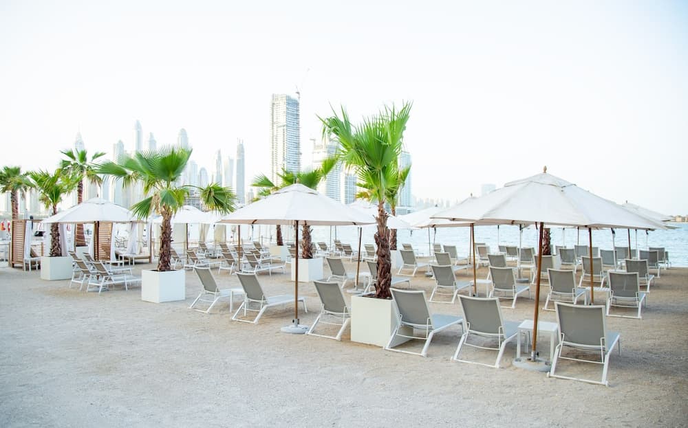 Adagio Premium The Palm — 30