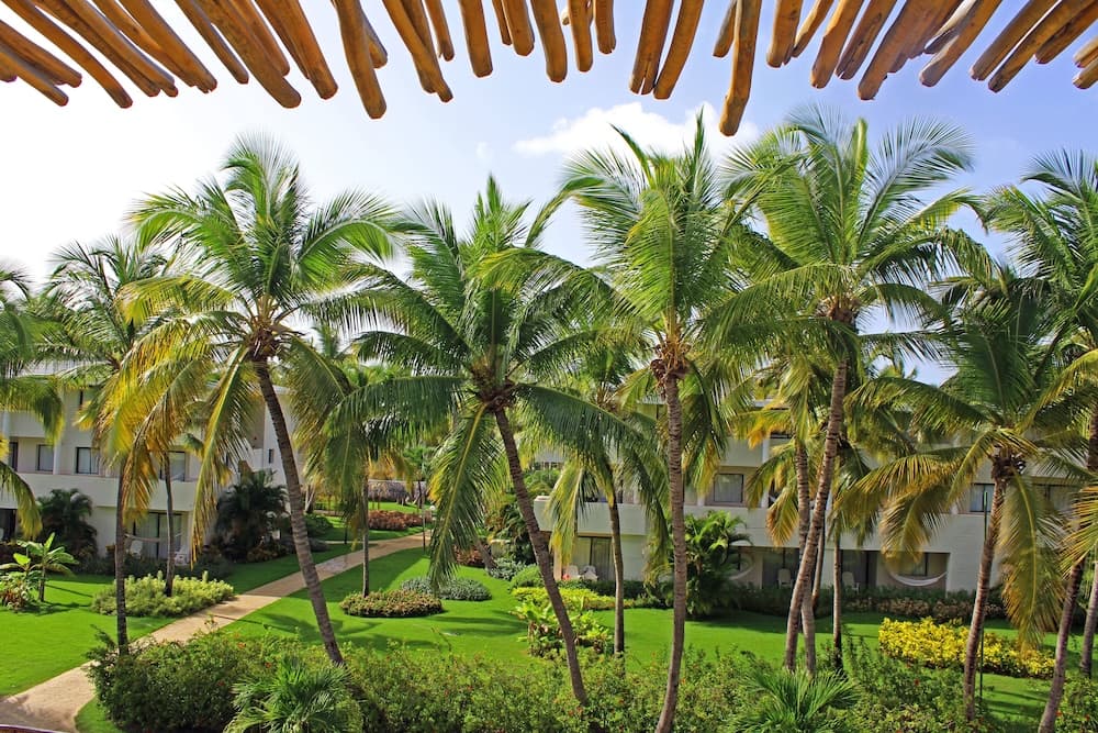 Catalonia Royal Bavaro - Solo Adulti — 25