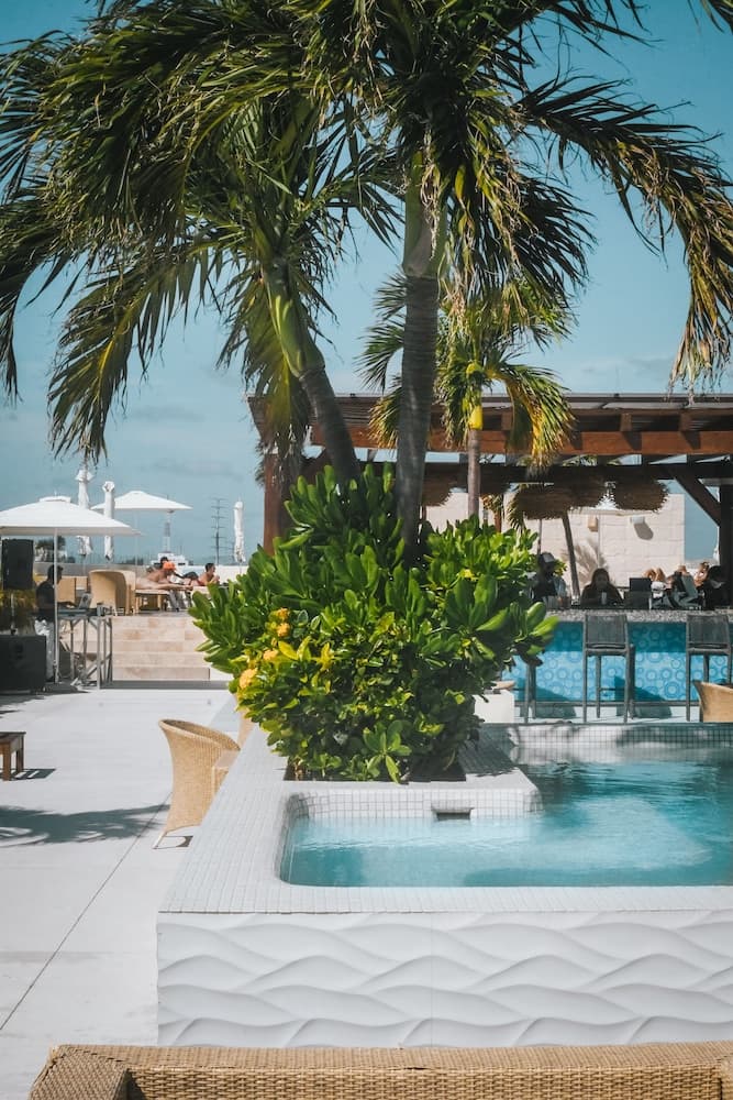 El Palm at Playa — 25