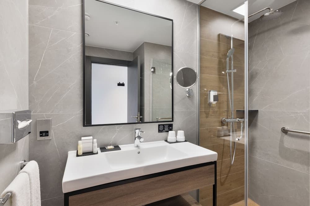 Hotel Riu Plaza London Victoria — 9