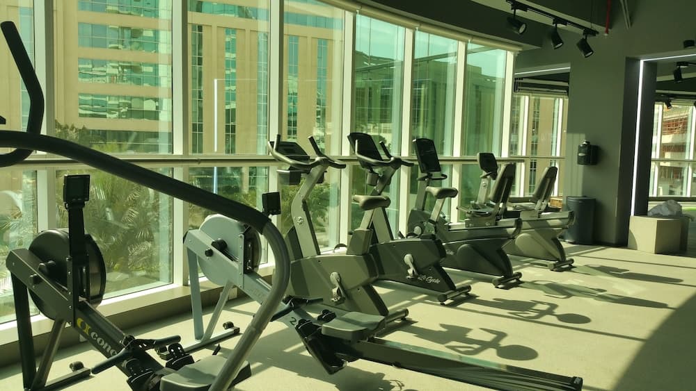 Millennium Airport Hotel Dubai — 2