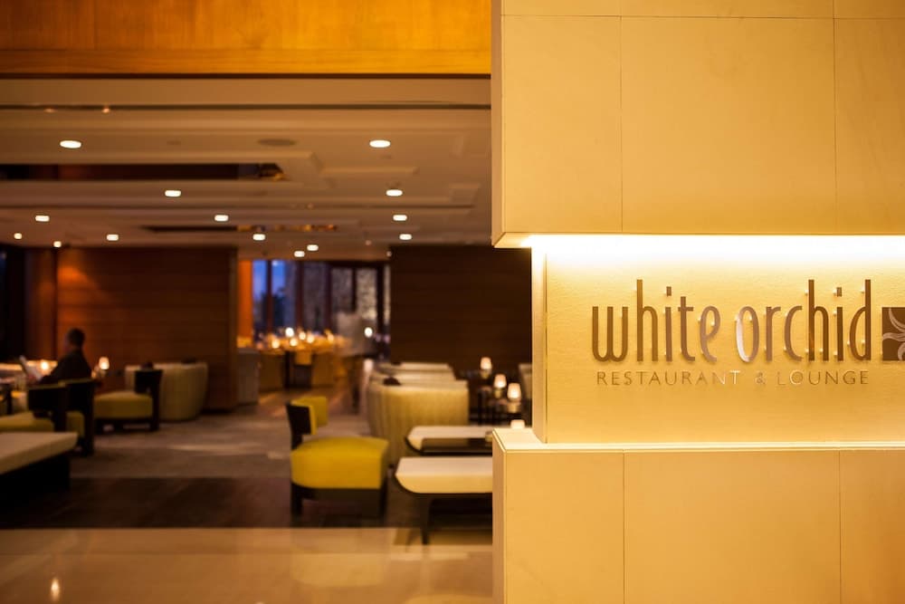 JA Palm Tree Court, Dubai — 27