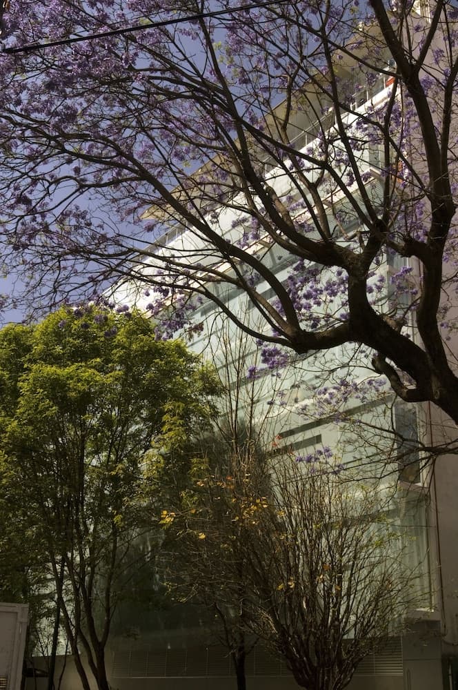 Habita, Mexico City, a Member of Design Hotels — 28