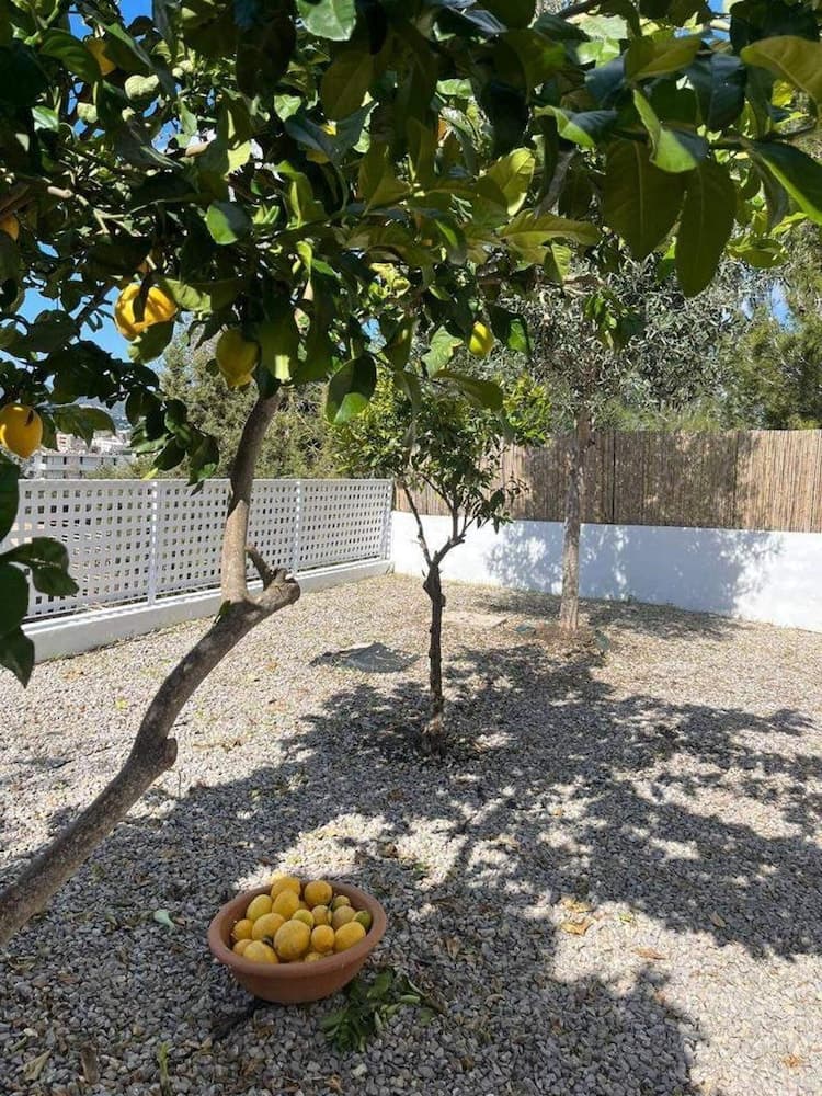 Ibiza Sunshine Hideaway — 22