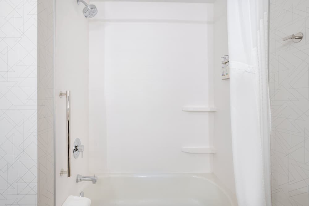 Holiday Inn Express Hotel & Suites New Tampa I-75, un hotel IHG — 8