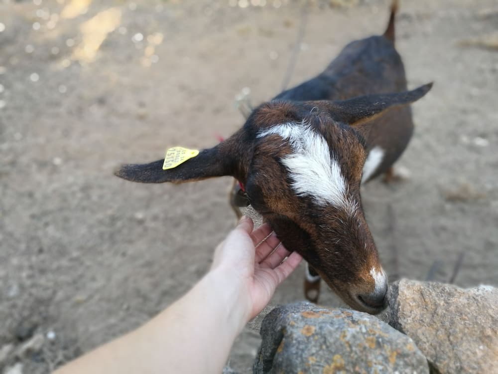 Agroturismo Can Prats — 25