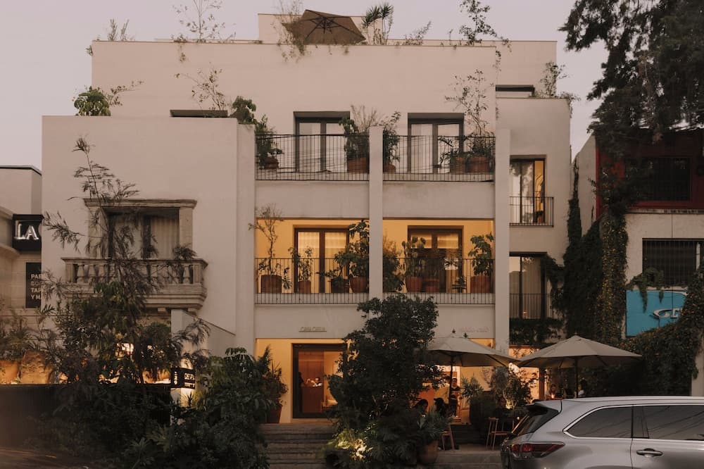 Casa Ofelia — 1