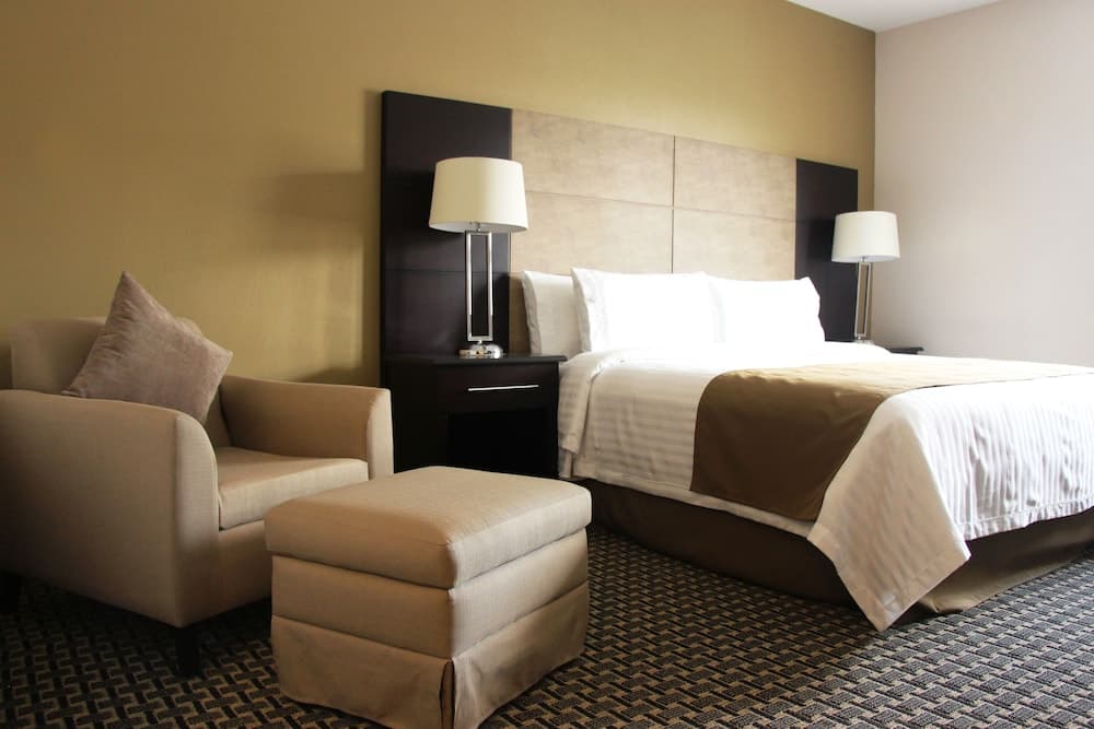 Holiday Inn México Santa Fe, un Hotel IHG — 4