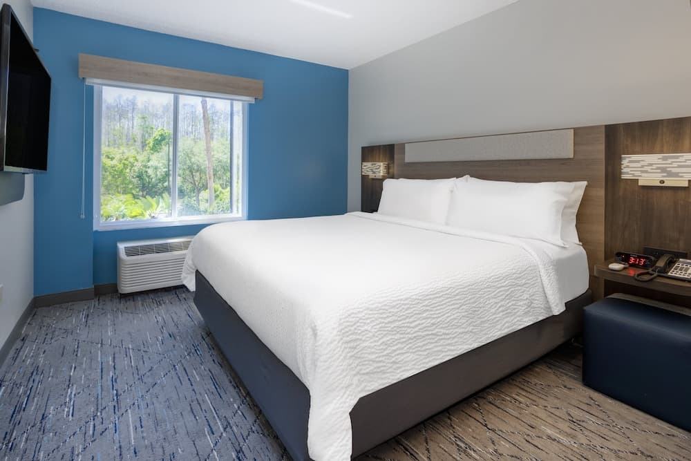 Holiday Inn Express Hotel & Suites New Tampa I-75, un hotel IHG — 3