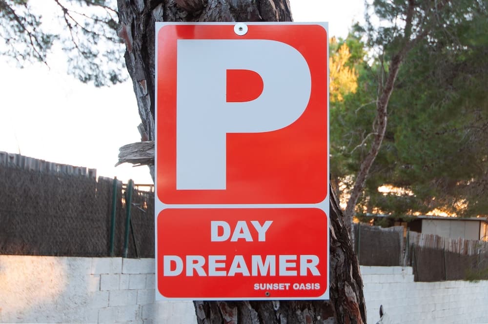Secret Oasis Ibiza- Adults Only — 24