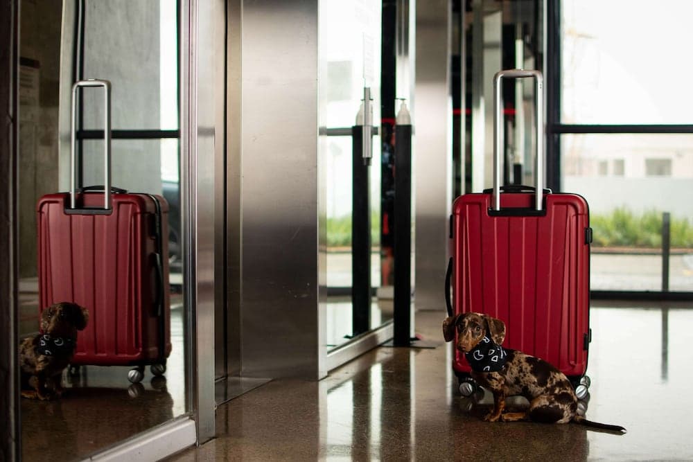 Radisson RED V&A Waterfront, Cape Town hotel, Silo 6, South Arm Road, V&A Waterfront, Cape Town, Western Cape, 8001, South Africa — photo 90