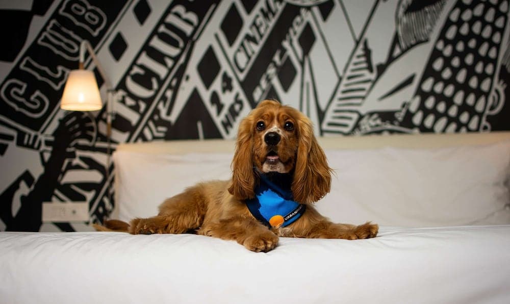 Radisson RED V&A Waterfront, Cape Town hotel, Silo 6, South Arm Road, V&A Waterfront, Cape Town, Western Cape, 8001, South Africa — photo 91