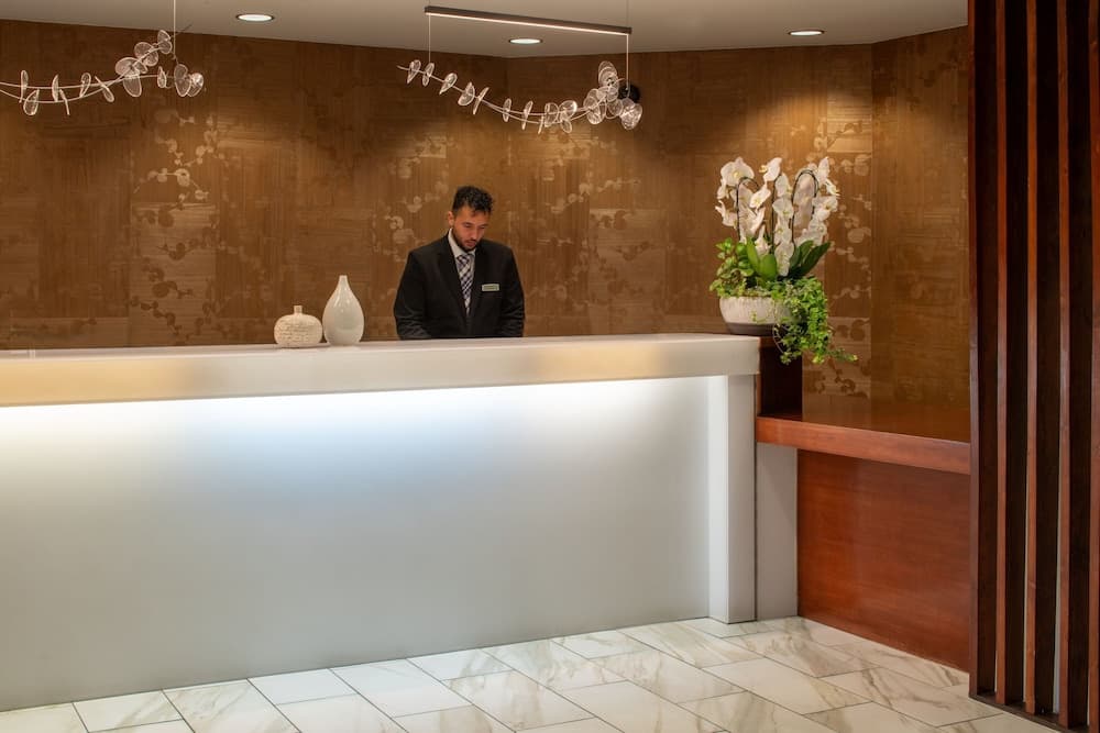 SpringHill Suites by Marriott Convention Center/I-drive — 4