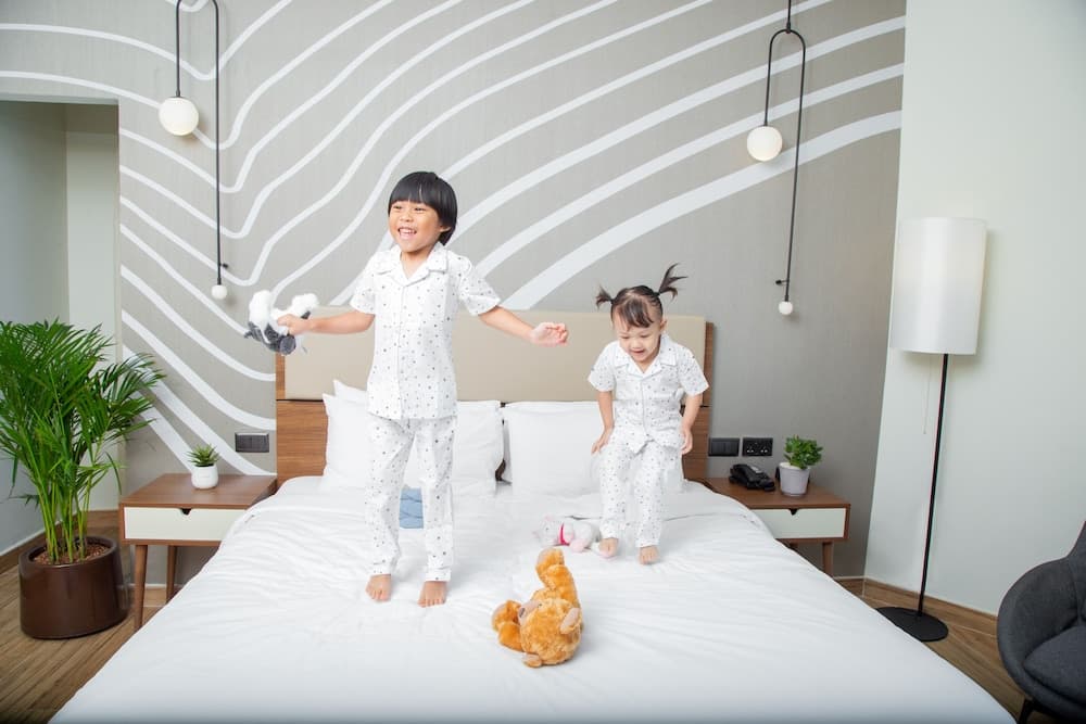 Adagio Premium The Palm — 29
