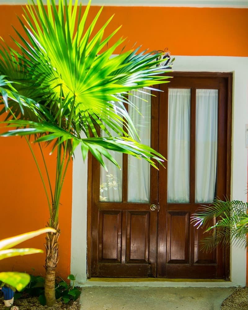 Hotel Casa De Las Flores — 15
