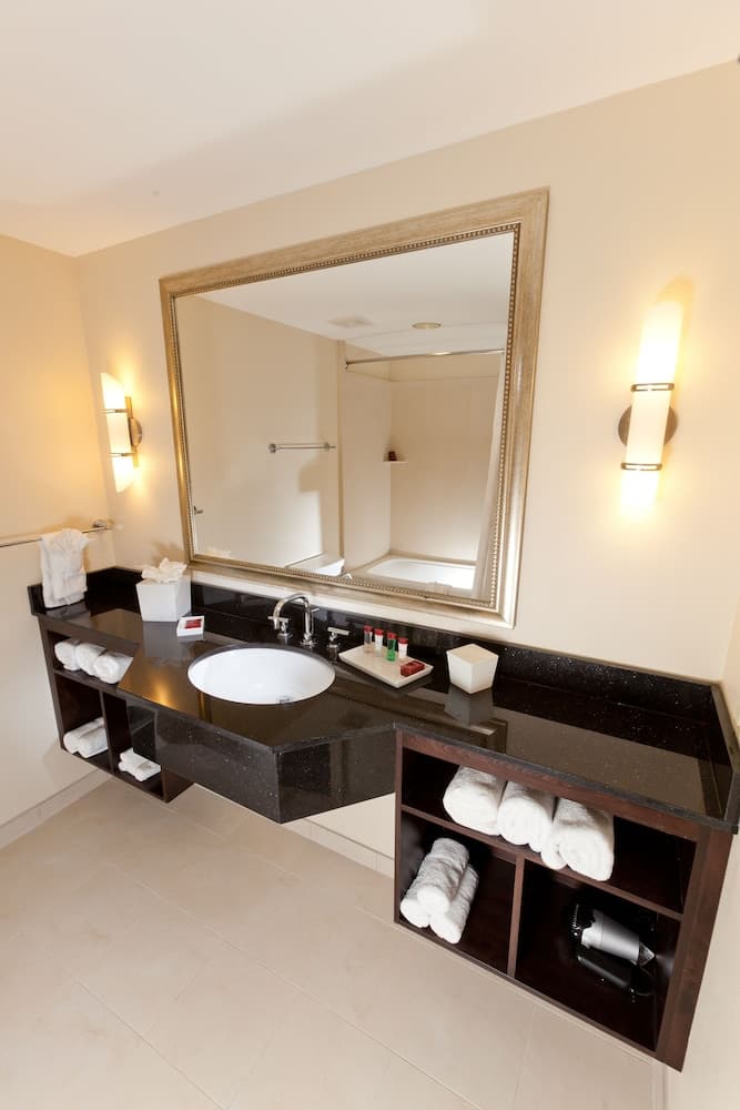 Ramada Plaza Resort & Suites by Wyndham Orlando Intl Drive — 19