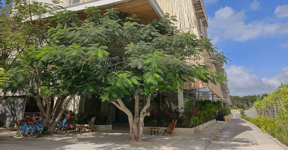 Siente Tulum — 1