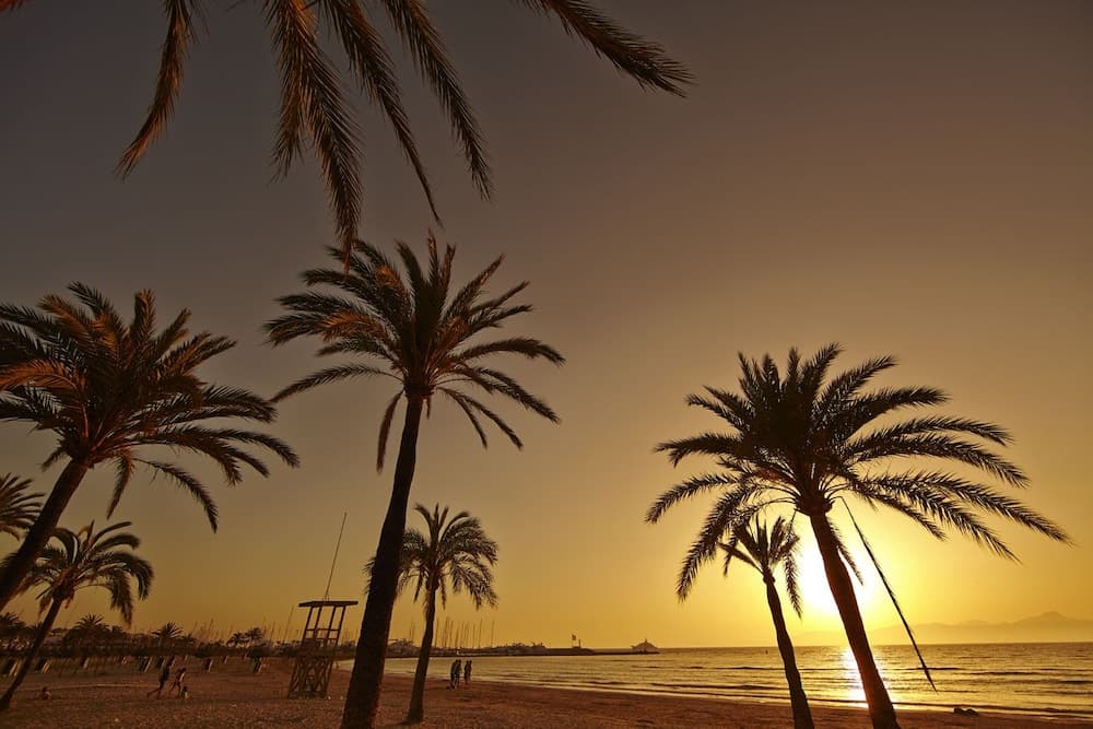 MLL Palma Bay Club Resort Hotel — 29