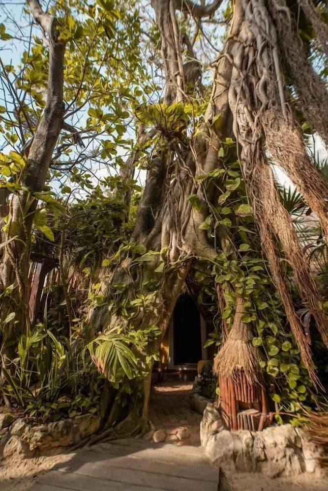 Hotel Casa Colibri — 8