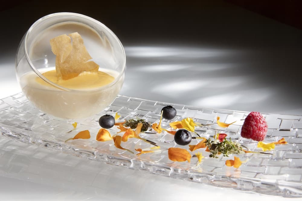 The Level at Melia Castilla — 23