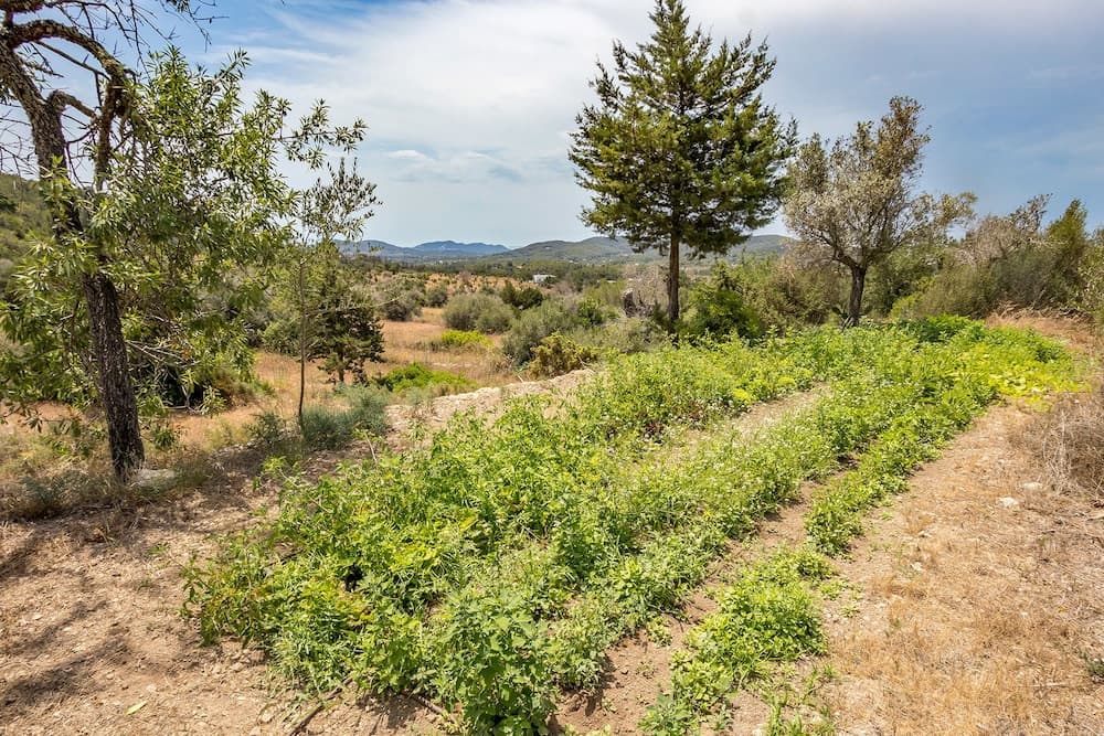 Villa Ca na Roseta — 26