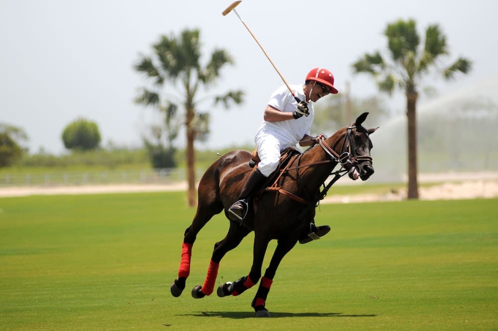 Eden Roc Cap Cana — 14