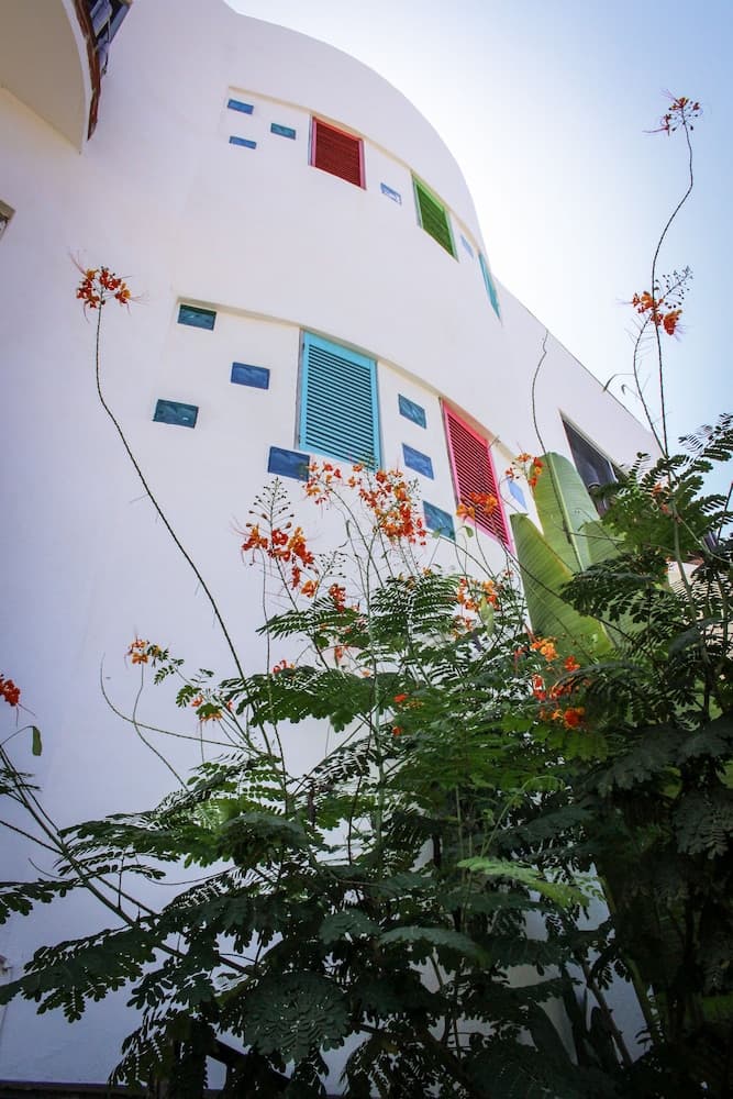 Vainilla B&B Messico — 27