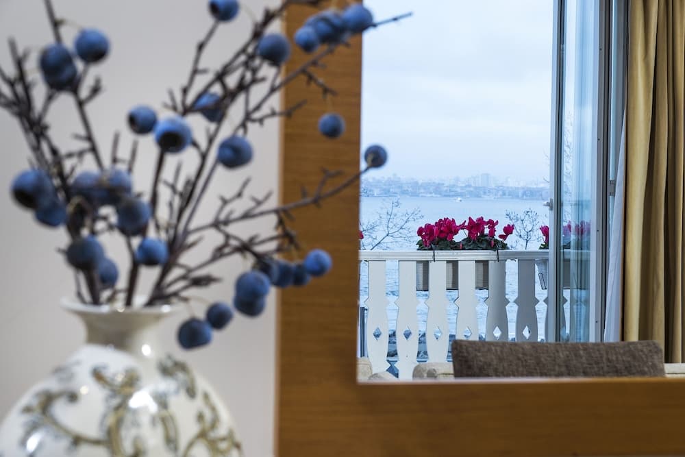 Radisson Hotel Istanbul Sultanahmet — 14