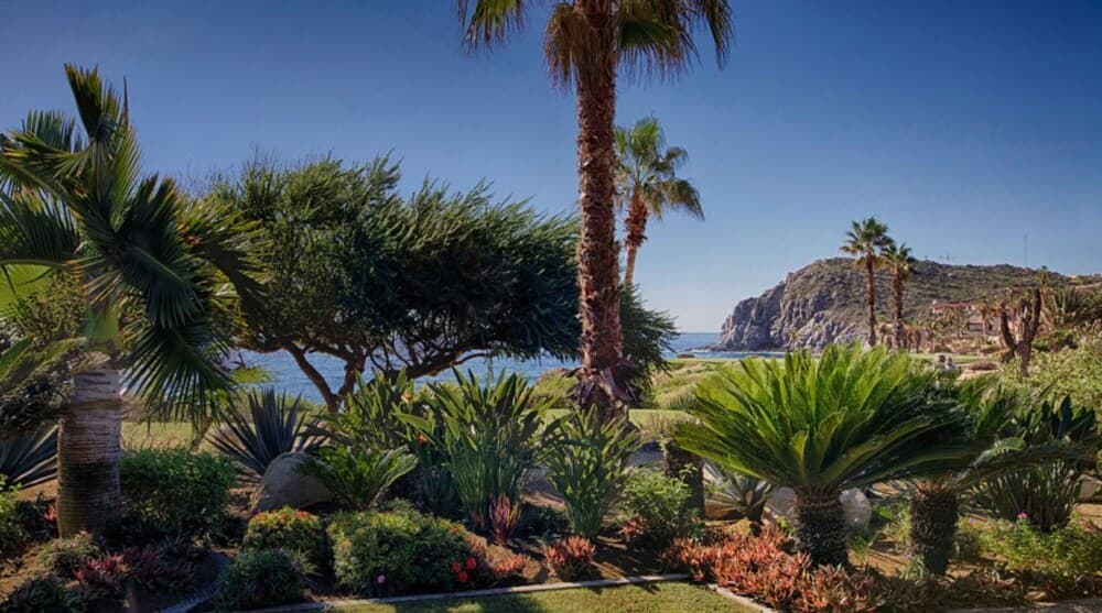 Casa Brooks von Cabo Platinum — 11