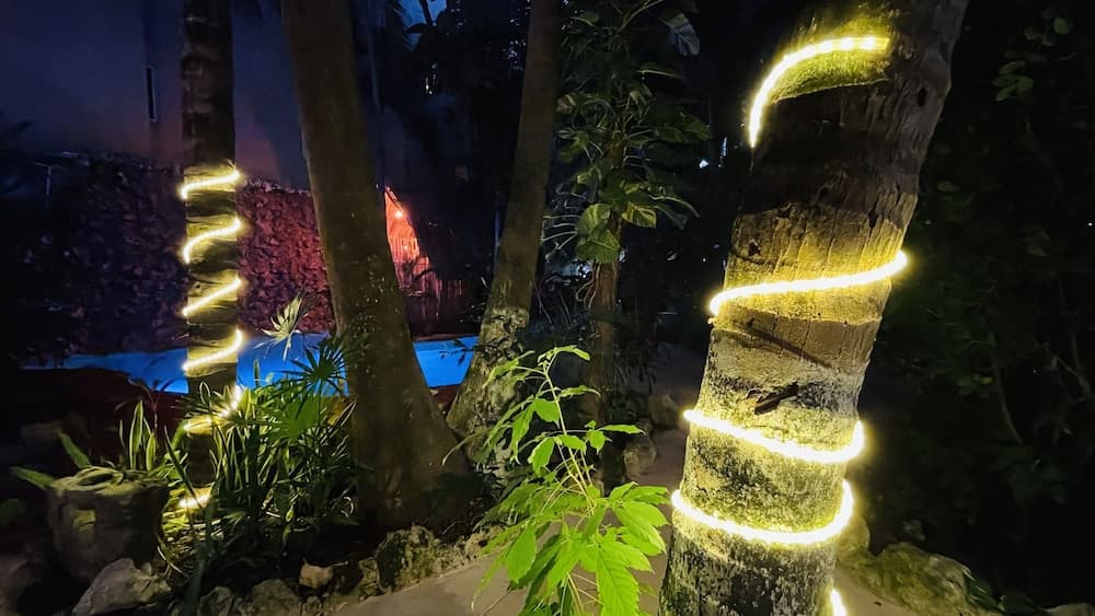 Hotel B&B - 5ta Avenida — 28