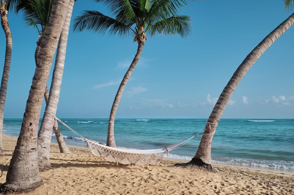 The Excellence Club at Finest Punta Cana Adults Only - All Inclusive — 27