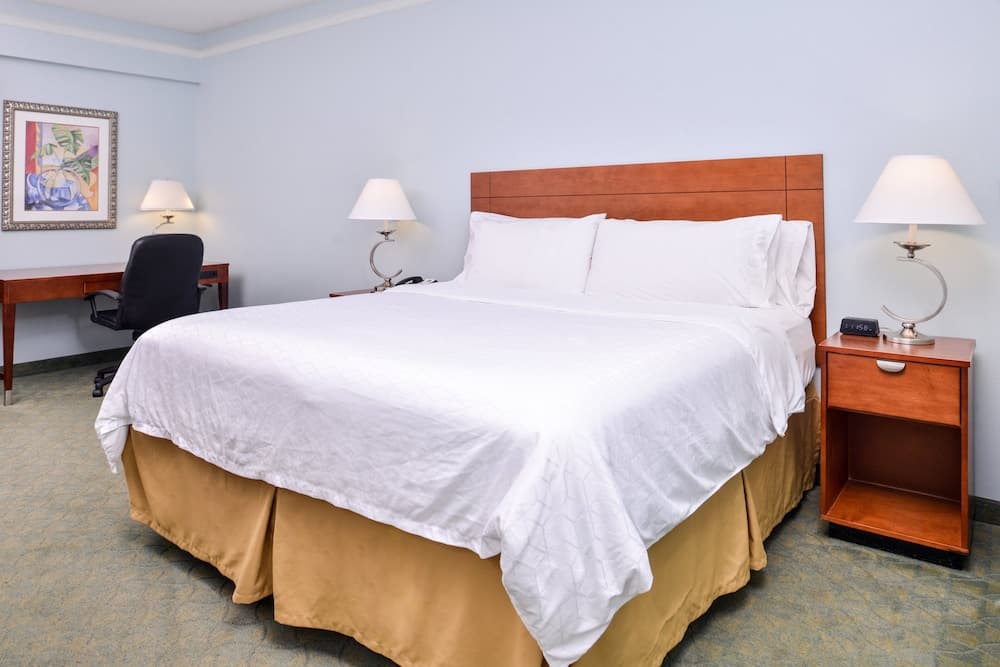 Holiday Inn Express Tampa N I-75 - Área universitaria, un hotel IHG — 7