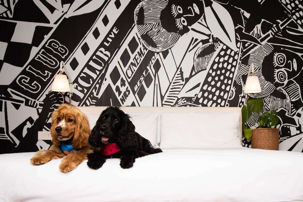 Radisson RED V&A Waterfront, Cape Town hotel, Silo 6, South Arm Road, V&A Waterfront, Cape Town, Western Cape, 8001, South Africa — photo 17