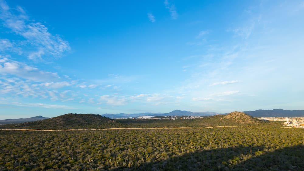 Quivira Los Cabos Condos & Homes - Vacation Rentals — 10