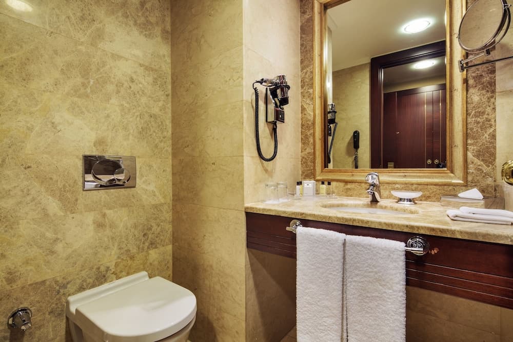 Crowne Plaza Estambul - Ciudad Vieja by IHG — 15