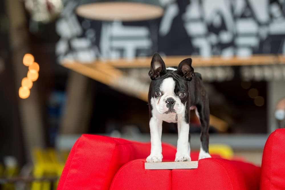 Radisson RED V&A Waterfront, Cape Town hotel, Silo 6, South Arm Road, V&A Waterfront, Cape Town, Western Cape, 8001, South Africa — photo 19